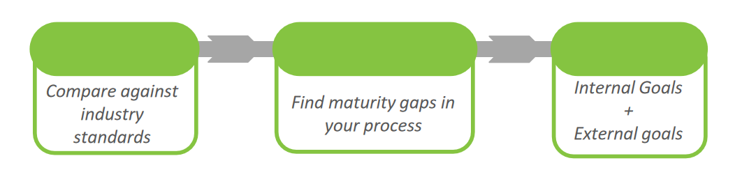 deciphering the maturity gaps